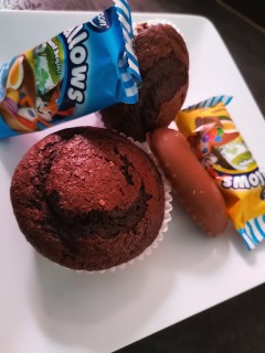 Marshmellow Mini Choco Cupcakes