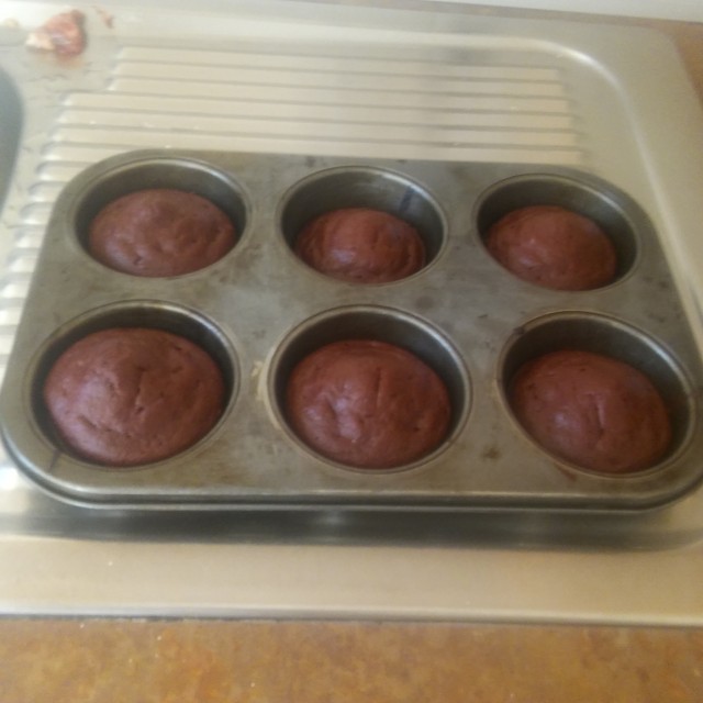 Chocolate Muffin Delight