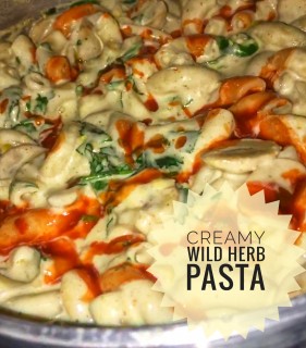 Creamy Veg Wild Herb Pasta