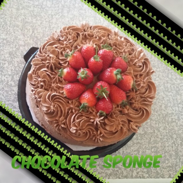 Chocolate Sponge Cake 