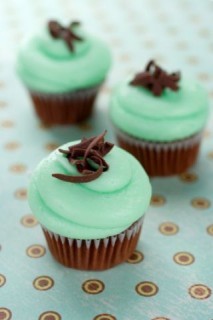 Mint Choc Chip Cakes