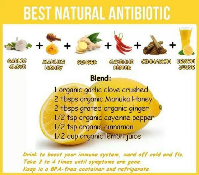 Best Natural Antibiotic