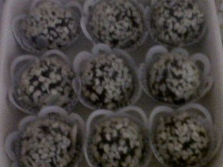 Chocolate Truffles