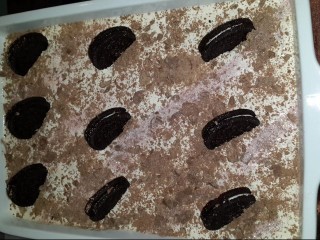 Oreo Delight