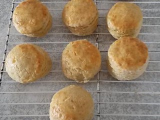 Cheese Scones