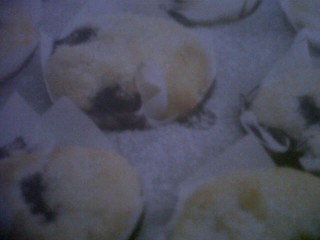 Blueberry And Vanilla Muffins