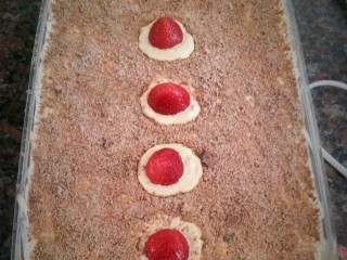 Chocolate Custard Trifle