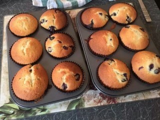 Blueberry Muffins