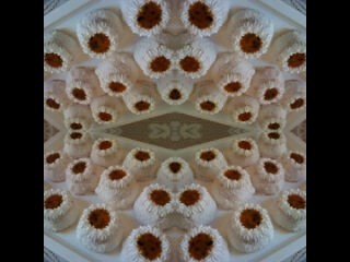 Granadilla Snow Cakes