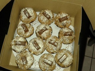 Chocolate Cupcakes/cake