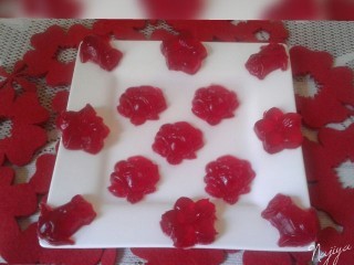 Home Made Gummies