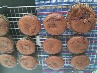 Chocoholic Muffins