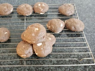 Double Chocolate Chip Cookies