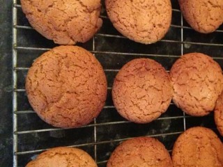 Ginger Biscuits