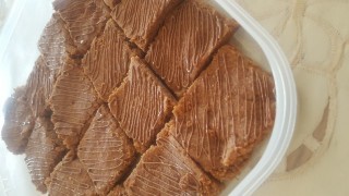 Chocolate Coconut Squares