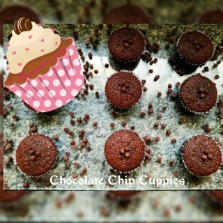 Chocolate Chocolate Chip Cupcakes