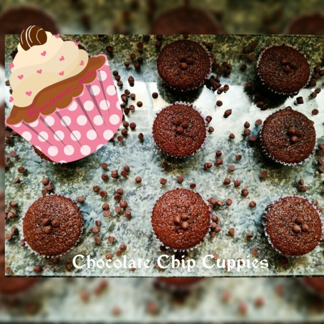 Chocolate Chocolate Chip Cupcakes 