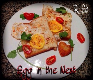 Egg In The Nest