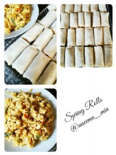 Spring Rolls