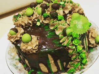 Mint Mousse Chocolate Cake