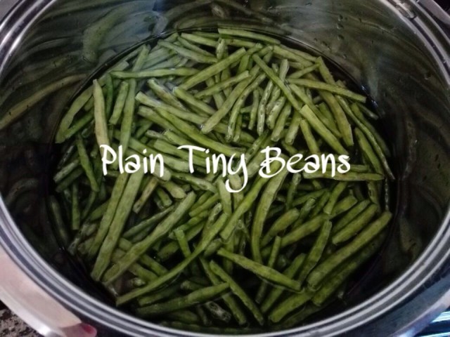 Plain Gwareen (tiny Beans)