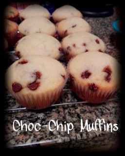 Choc Chip Muffins