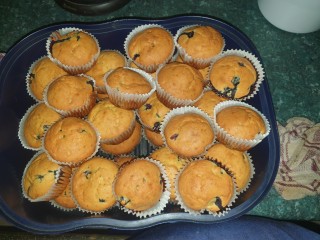 Blueberry Muffins