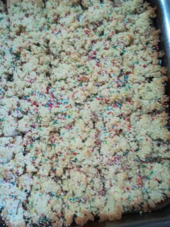 Coconut Chocolate Slice