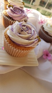 Chocolate/ Vanilla Cupcakes