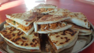 Chicken Quesadilla