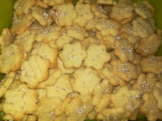 Tasty Coconut Biscuit