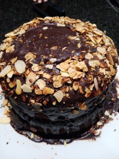 Toasted Almond & Chocolate Cake