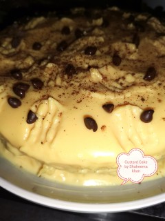 Custard Cake Delight