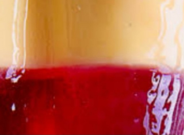Custard And Jelly Dessert π¨