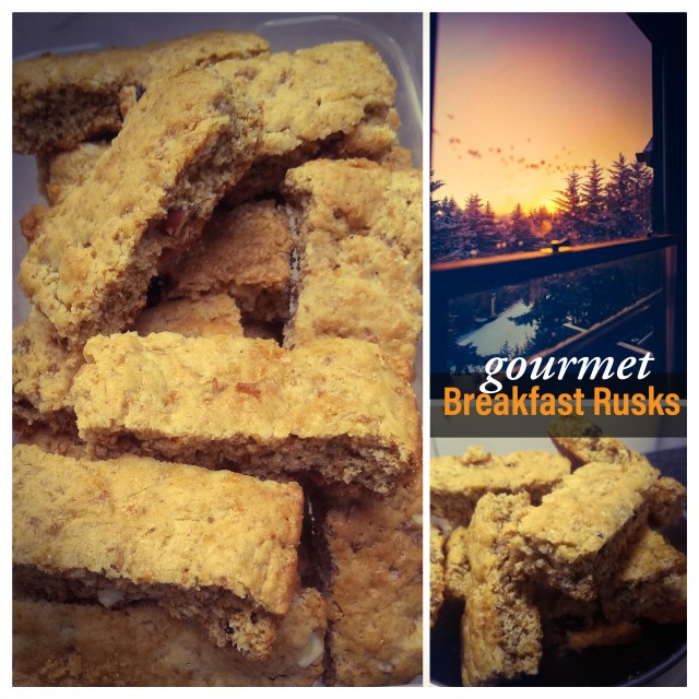 Gourmet Health Rusks