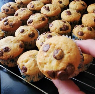 Mini Chocolate Chip Muffins