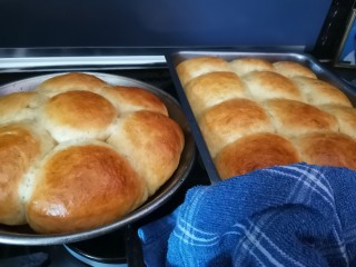 Soft Milk Rolls