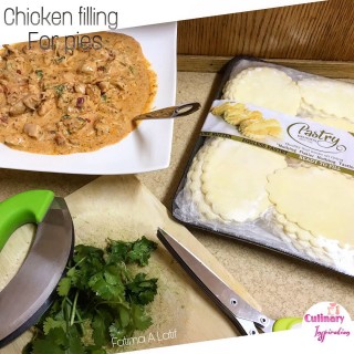 Masala Chicken Filling