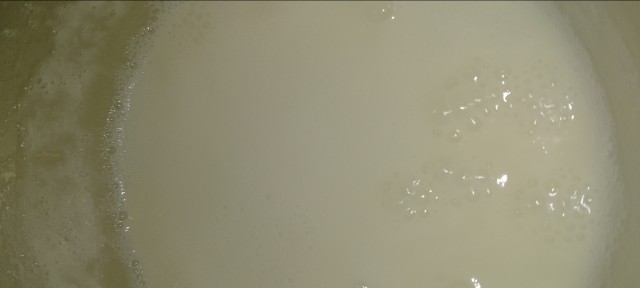 Home-made Condensed Milk