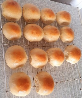 Dinner Rolls