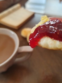 Absconeded (scones)