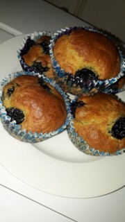 Blueberry Muffins