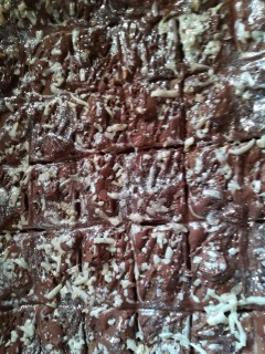 Chocolate Minty Coconut Square