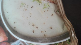 Healthy Quick Delicious Soup