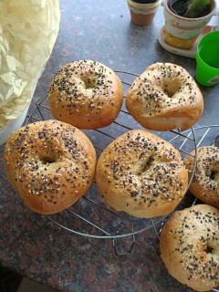 Homemade Bagels