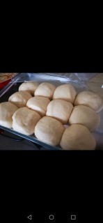 Dinner Rolls