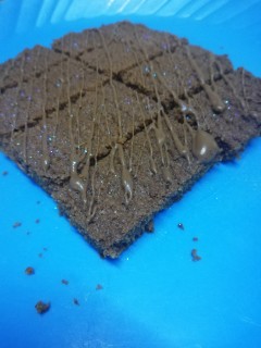 Chocolate Coconut Fingers