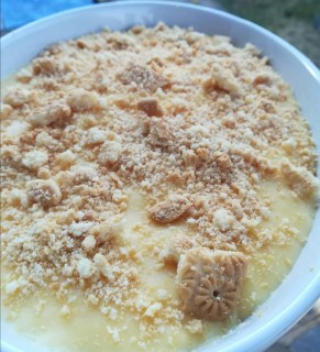 Quick Custard And Tennis Biscuit Dessert