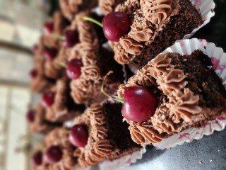 Chocolate Cake Squares