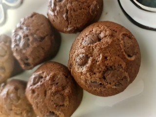 Chocolate Chip Muffins